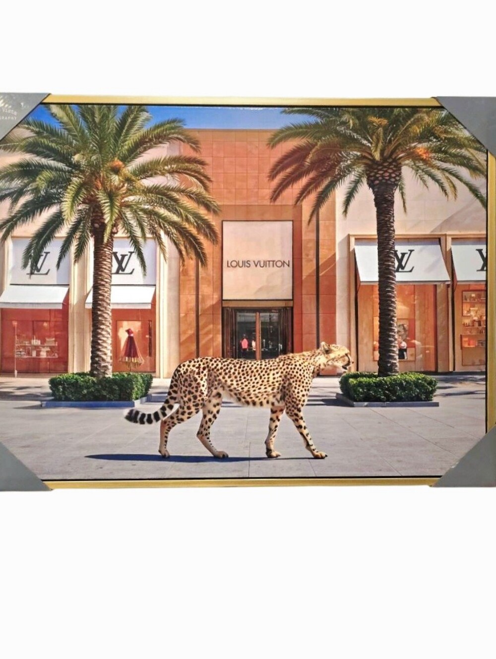Studio Vista Photography Louis Vuitton Luxury Cheetah Storefront Framed Wall Dec